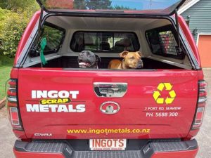 Ingot Scrap Dogs